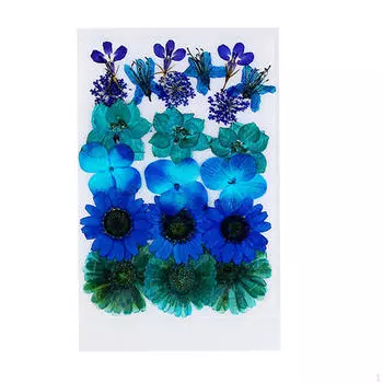 Сухие цветы украшения DIY изготовление открыток ювелирные изделия ручной работы изделия из смолы искусство скрапбукинга Red 19Pcs