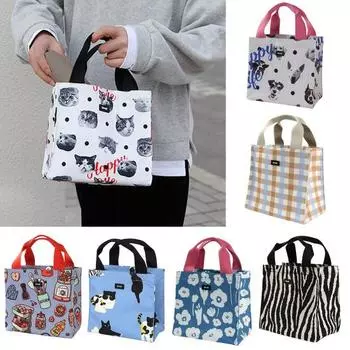 Сумка для ланча объемом 3 л с ручкой, большая вместимость, водонепроницаемая, легкая, изолированная, с внешней стороны G