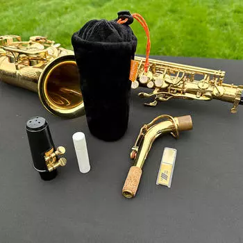 Сумка для мундштука саксофона с мягкой подкладкой, универсальный утолщенный практичный духовой инструмент Alto