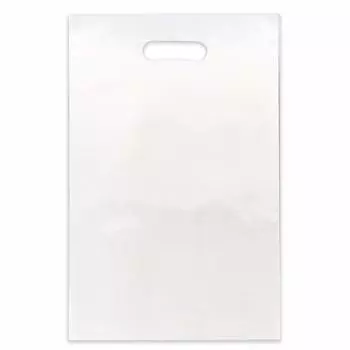 Сумка для переноски workup large, 50 микрон, овальная, прозрачная, 240x390 мм, CPP [формат A4], устойчивая к разрывам [100 листов]