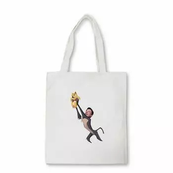 Сумка для покупок dogecoin and elon, мужская сумка на плечо Dogecoin Elon Musk, забавная женская сумка в стиле аниме, холщовая сумка Bolsas 24*26cm