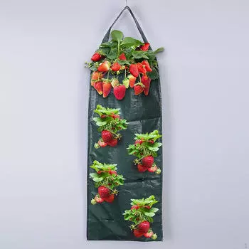 Сумка для выращивания клубники, многофункциональная, 8 отверстий, практичная подвесная сумка для выращивания цветов,