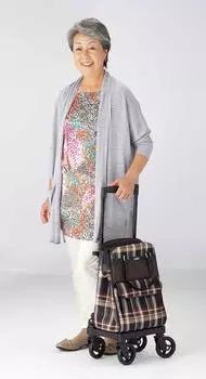 Сумка-переноска France Bed Easy to go вмещает много вещей Active Check 036775000, багаж, SC02, Узор,