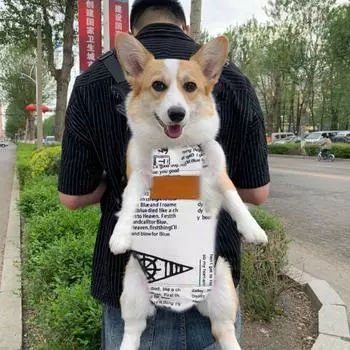 Сумки для переноски щенков Hands-Free, дорожная сумка для кошек, рюкзак для переноски собак, сумка для домашних животных с двумя плечами M жёлтый/синий