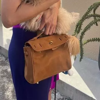 Сумки из искусственной кожи оленя для женщин Роскошные дизайнерские кожаные сумки Повседневные модные сумки-тоут Модные тенденции Сумка через плечо