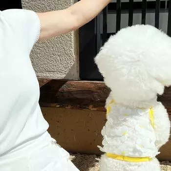 Summer Breathable Mesh Bigbear Suspender Thin Small Dog Teddy Puppy Two-legged Cat Pet Puppy Dog Clothes S (recommended weight 3-2.5 kg)