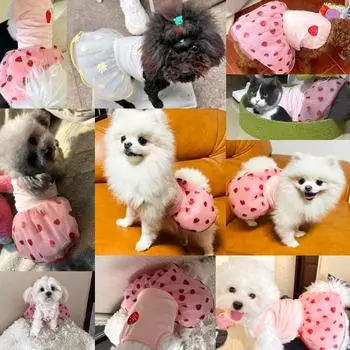 Summer Dog Dress Luxury Dog Strawberry Skirt Lace Dog Princess Dress Chihuahua Bichon Korean Dog Clothes 2025 New Puppy Costume XS
