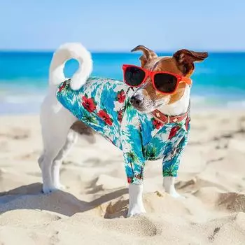 Summer Dog Shirt Hawaiian Beach Pet Clothing Coconut Tree Flower Print Puppy T-Shirt for Small Dogs Cats Vest Camp Shirt for Pug XS