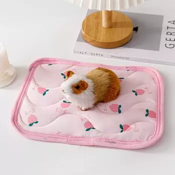 Summer Pet Cooling Mats Hamster Bed Mats Guinea Pig Chinchilla Rabbit Ice Silk Pad Small Animals Cage Sleeping Mats Pet Supplies 3XS 21 16CM