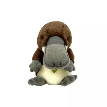 Sun Arrow Potte Platypus K-9388