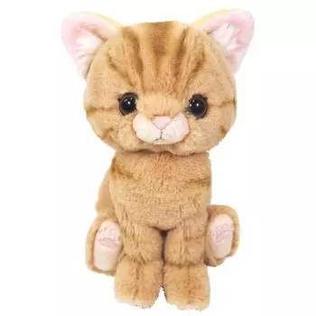 Sun Lemon Kitten American Shorthair Brown x x Stuffed Animal Cat 14.9 16.3 7.2cm P-7531