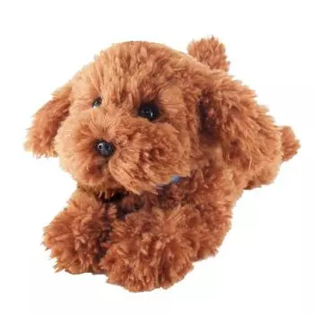 Sun Lemon Knee Dog Toy Poodle Brown x x Stuffed Animal 18.2 10.4 31.6cm