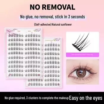 Sunflower Natural Glue-Free False Eyelashes: Super Soft, Fast Application, Long-Lasting Hold Without Adhesive