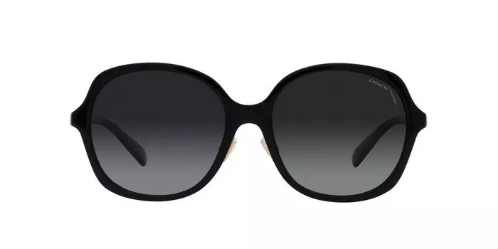 Sunglasses HC8360F CH610 BLACK GRADIENT POLAR Lens 58 [Coach] Frame/GREY