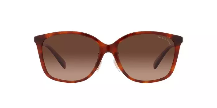 Sunglasses HC8361F CH617 CARAMEL TORTOISE GRADIENT POLAR Lens 57 [Coach] Frame/BROWN