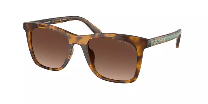 Sunglasses HC8374F DARK TORTOISE GRADIENT POLAR Lens 54 [Coach] Frame/BROWN