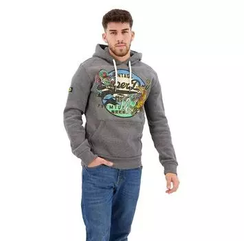 Superdry Japanese Vintage Logo Graphic худи M