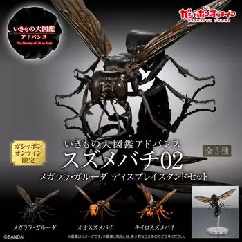 Существо Энциклопедия Advance Wasp 02 Дисплей Стенд Набор 3 Типы Набор Gacha Gacha Gacha Gashapon Online Limited [Все (Полный Полный)]