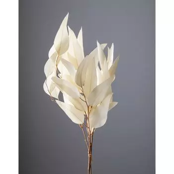 Сушеные цветы эвкалипта ивы Ohchinouen Daichi Farm 1 пучок 25 г примерно. Д55~59см DO016100-011