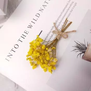 Сушеные цветы DIY материал украшения букет роз реквизит для съемки мини 13cm