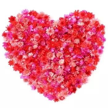 Сушеные цветы Neiang для смолы 400 штук прессованные листы для сушки цветов смола сушеные цветы сушеные цветы цветочные материалы голограмма части красный