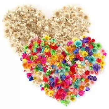 Сушеные цветы Neiang для смолы 400 штук прессованные листы для сушки цветов смола сушеные цветы сушеные цветы цветочные материалы голограмма части белые