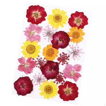 Сушеные прессованные цветы, ассорти из настоящих цветов для скрапбукинга, смола своими руками