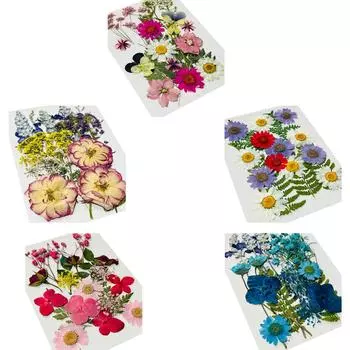 Сушеные прессованные цветы для форм из смолы, аксессуары для закладок из эпоксидной смолы своими руками, маленькие сухоцветы