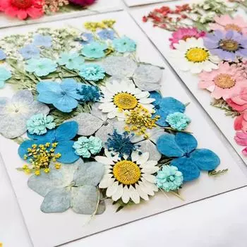Сушеные прессованные цветы, настоящие прессованные цветы, сухие листья, набор натуральных трав для скрапбукинга, самодельные художественные поделки, эпоксидные украшения, формы для мыловарения розовый