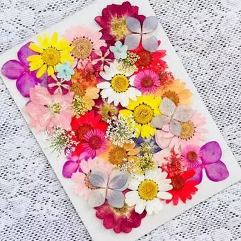 Сушеные прессованные цветы, настоящие прессованные цветы, сухие листья, набор натуральных трав для скрапбукинга, самодельные художественные поделки, эпоксидные украшения, формы для мыловарения розовый