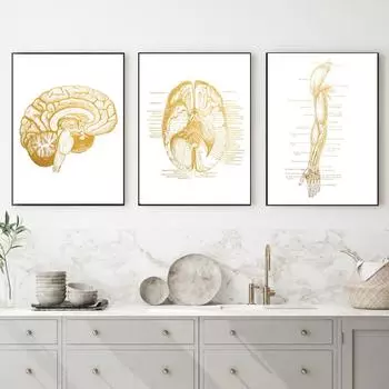 Суставы рук диаграммы анатомии патологии плакат холст картины мозга настенные рисунки для медицинского образования кабинет врача класс 21x30cm No Framed