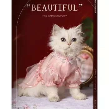 Свадебное платье для маленькой собаки с кружевным костюмом на день рождения, атласное вечернее платье с розой для девочек, кошачья пачка XS