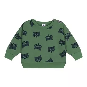 Sweatshirt long sleeve pullover A0BM5 24 months 86cm [Petit Bateau] Green/Multicolor