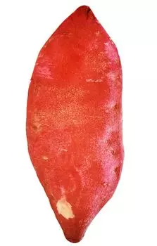 Sweet Potato Body Cute Sweet Potato Nap Sleeping Fun Party Halloween Instagram [dokidoki] Cushion, Pillow, Cute, Realistic, Large, Cushion, Pillow,