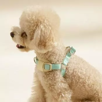 Сверхлегкая шлейка Hitch Dog Easy Walk Y-образного типа, мятно-зеленая