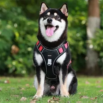 Сверхлегкая шлейка SLC Pet для маленьких, средних и крупных собак, черного и красного цвета.