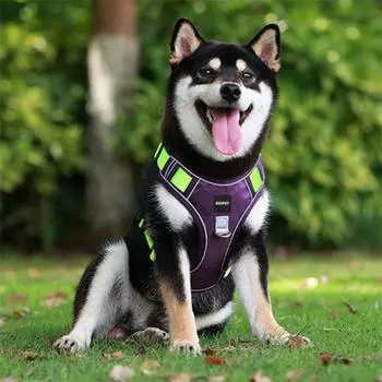 Сверхлегкая шлейка SLC Pet для маленьких, средних и крупных собак, фиолетового и зеленого цвета.