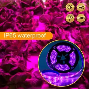 Свет для выращивания растений, светопропускание, высокий фотосинтез, длительный срок службы, розовая фиолетовая полоса USB 100cm