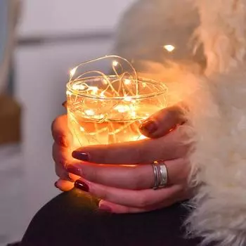 Светодиодная кнопочная гирлянда Декоративные огни Медная проволочная гирлянда One Size белый