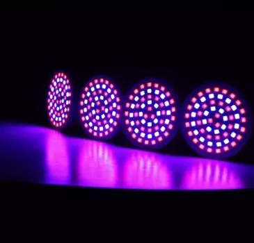 Светодиодная лампа для выращивания растений E27 E14 MR16 GU10 220 В, полный спектр, светодиодная лампа для гидропоники для выращивания растений, фитолампа для внутреннего освещения, освещение для рассады цветов 48L