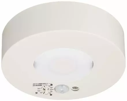 Светодиодная лампа Panasonic для потолочного светильника 60, рассеянного света, цвет LGBC58012LE1