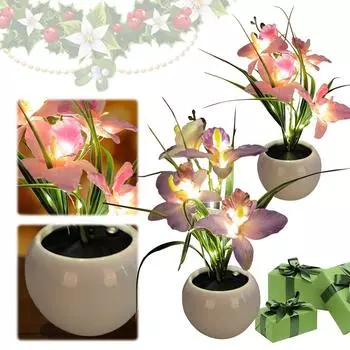 Светодиодная лампа в виде орхидеи, искусственный цветок, ночник, USB-перезаряжаемый светильник в виде цветка орхидеи, теплый свет, настольная лампа для спальни, гостиной фиолетовый