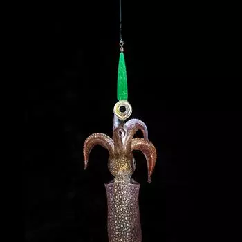 Светодиодная приманка для рыбы, приманка, кальмар, рыбалка, осьминог, морская подводная лампа (зеленый) ?