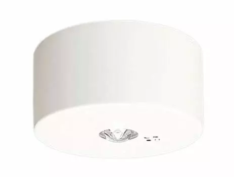 Светодиодное аварийное освещение Panasonic, прямое, для высоких потолков, 30 минут дневного света, белый светильник NNFB93008J, прикрепленный, ~16 м, тип,