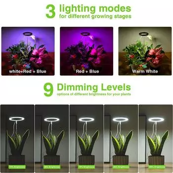 Светодиодные лампы полного спектра для выращивания комнатных растений, регулируемая по высоте лампа для выращивания с регулируемой яркостью, фитолампа для выращивания цветов Halo Ring чёрный