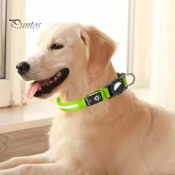 Светодиодный ошейник для собак с зарядкой от USB, светящийся ошейник для собак, удобный водонепроницаемый светящийся ошейник для безопасности домашних животных для ночных прогулок L зелёный