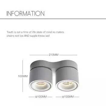 Светодиодный потолочный светильник COB с регулируемой яркостью, вращающийся, 20 Вт/24 Вт, с драйвером для светодиодов, AC110 В/220 В 20W&3000K&Not dimmable чёрный