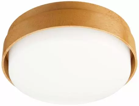 Светодиодный потолочный светильник Panasonic, маленький, 100-градусный, дневной свет, белый, прямой монтаж, тип LGB51552LE1