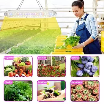 Светодиодный светильник для растений, полный спектр, 10 Вт, 2 ч/4 ч/8 ч, таймер, 4 уровня регулировки яркости, светильники для комнатных растений, рассады цветов и овощей EU белый