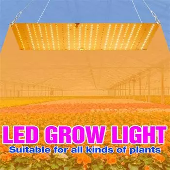 Светодиодный светильник для выращивания цветов полного спектра, фитолампа для выращивания растений, гидропоника, коробка для выращивания цветов, коробка 3000 Вт Quantum EU Plug